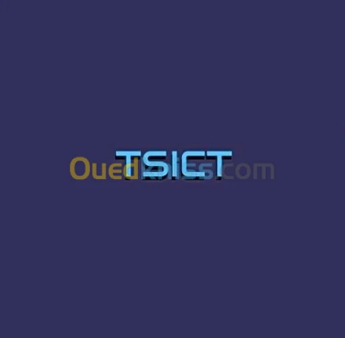 Formation Informatique en ligne a partir de chez vous