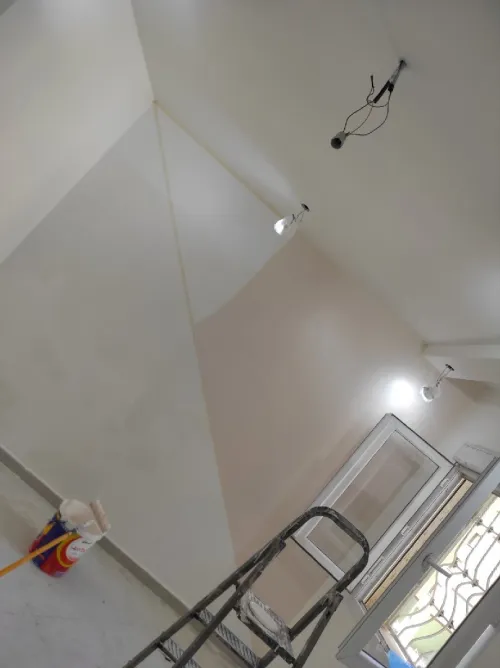 Painter