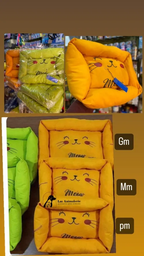 Accessoires pour chats 