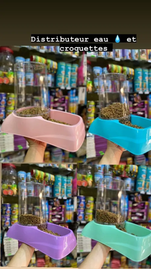 Accessoires pour chats 