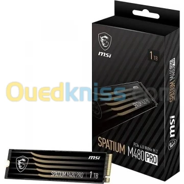 SSD NVME M,2 MSI SPATIUM M480 PRO 1000GB PCIE 4.0 (7400MB / 6000MB)