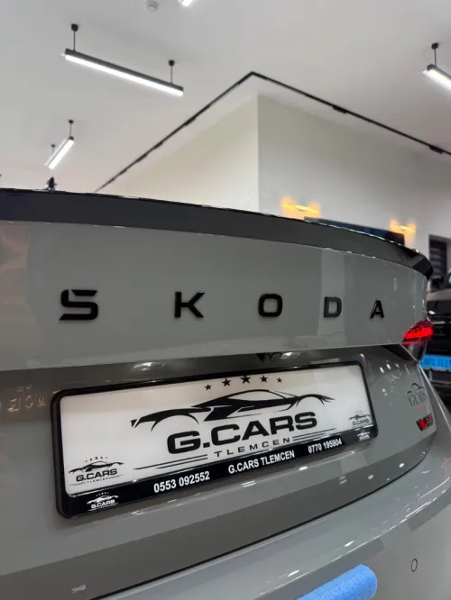 Skoda Octavia🇩🇪🇩🇪 2026 Rs / full option