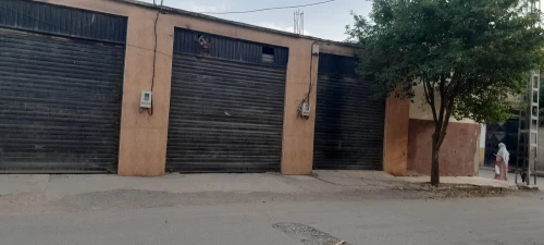 Location Hangar Blida Boufarik