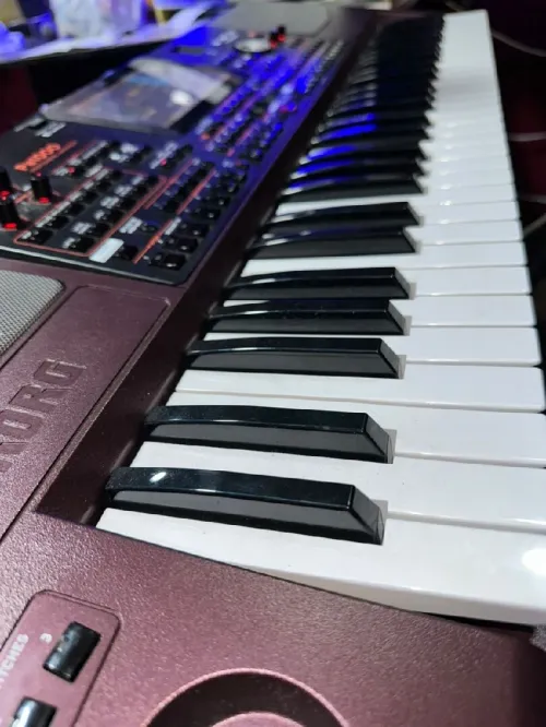 Korg PA1000