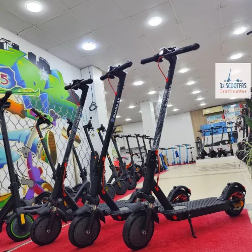 Trottinette Électrique Trotinette QUASMAX QS BOOST i Amortisseurs & Clignotants i Prix Choc!