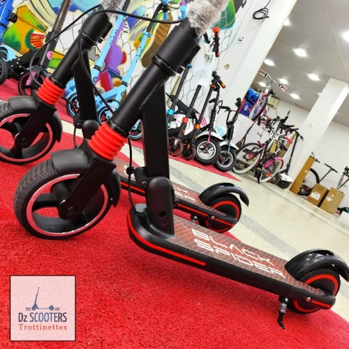 Trottinette Électrique Trotinette ACE GOKIDO 6 i Prix CHOC! Sous Emballage