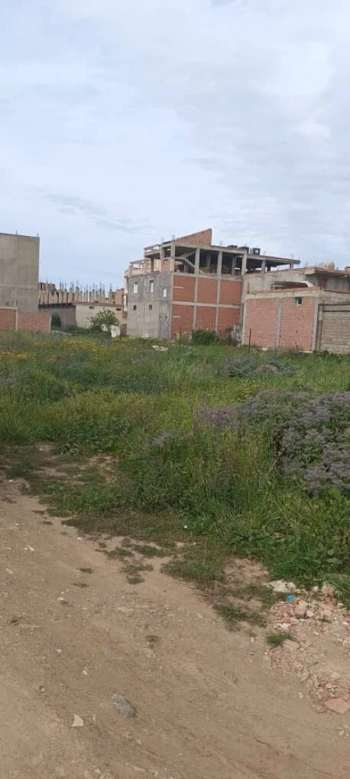 Vente Terrain Alger Ouled chebel