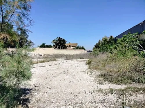 Vente Hangar - Usine Oran Es senia