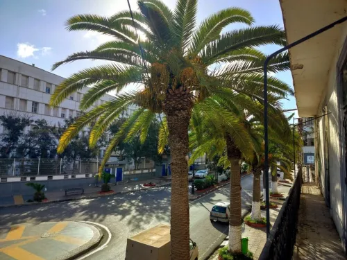 Location Appartement F7 Oran Oran