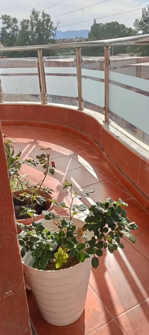 Vente Appartement F3 Tipaza Hadjout