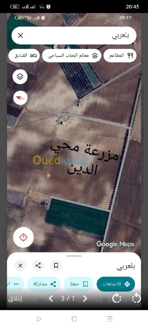 Vente Terrain Agricole Sidi Bel Abbès Belarbi