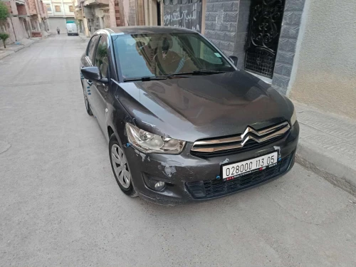 Citroen C Elysée 2013 Activ