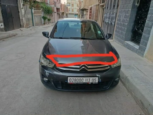 Citroen C Elysée 2013 Activ