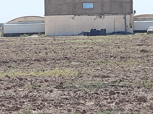 Vente Terrain Agricole Djelfa Benhar