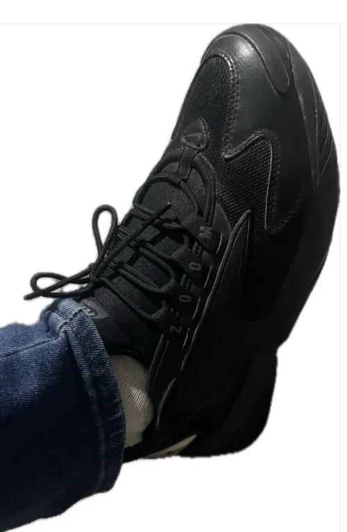 Basquettes Nike