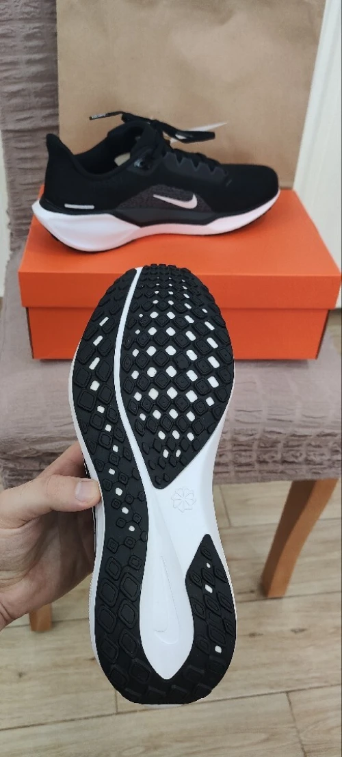 Nike Pegasus 41