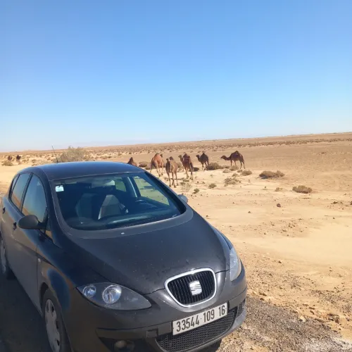 Seat Toledo 2009 Toledo