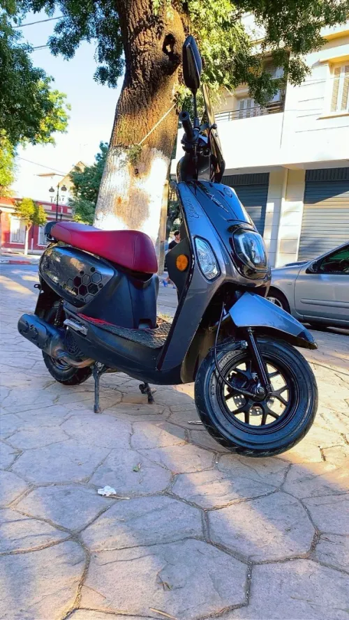 Vms estate x 2024