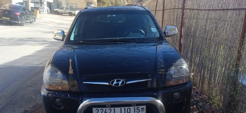 Hyundai Tucson 2010 Tucson