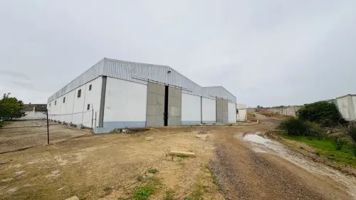 Vente Hangar - Usine Guelma Ain ben beida