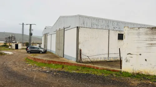 Vente Hangar - Usine Guelma Ain ben beida