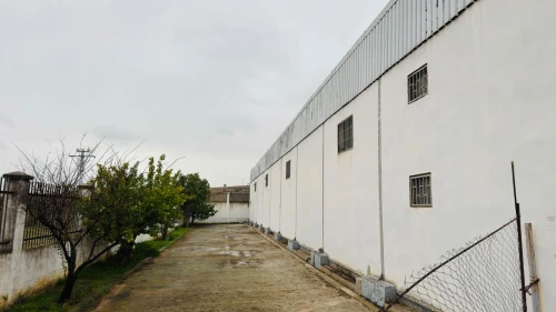 Vente Hangar - Usine Guelma Ain ben beida