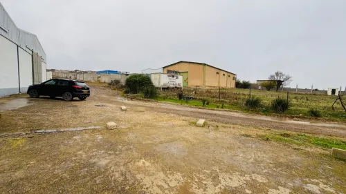 Vente Hangar - Usine Guelma Ain ben beida