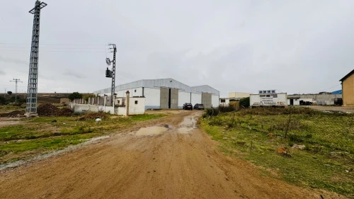 Vente Hangar - Usine Guelma Ain ben beida