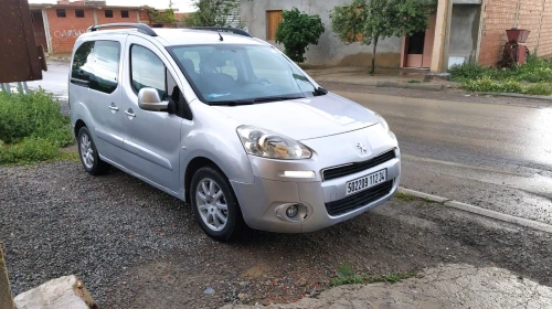 Peugeot Partner 2012 Partner