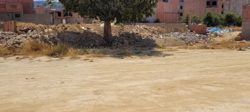 Vente Terrain Tlemcen Tlemcen