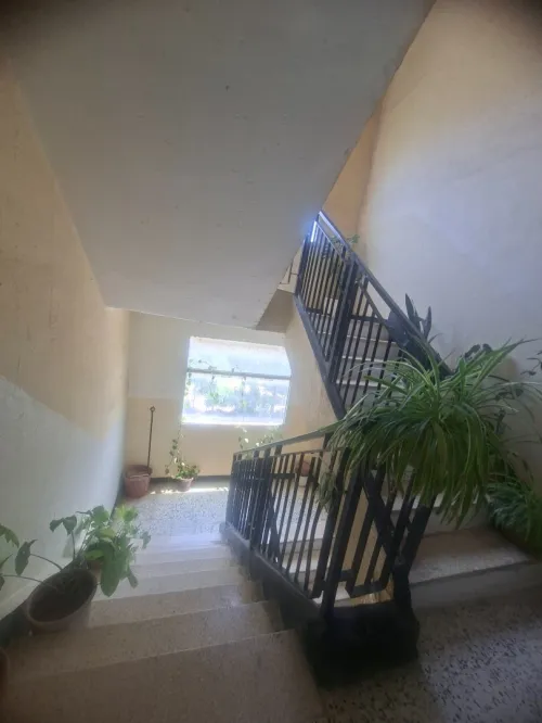 Location Appartement F5 Alger Kouba