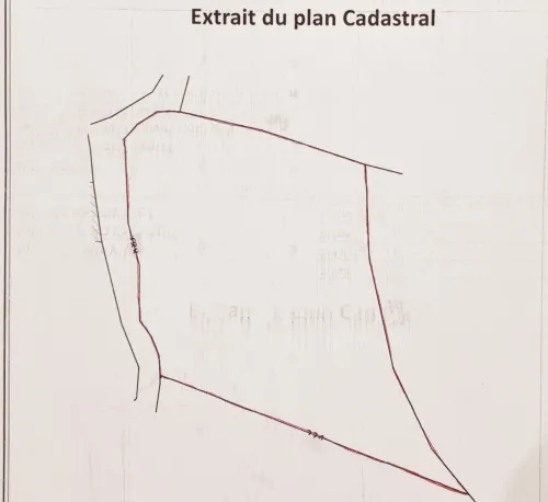 Vente Terrain Mila Mila