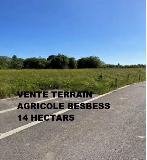 Vente Terrain El Tarf El taref