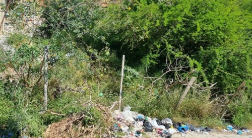 Vente Terrain Annaba Annaba