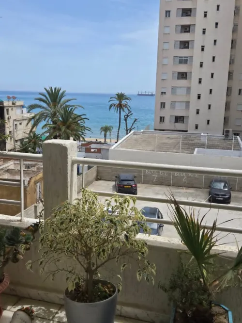 Location Appartement F4 Annaba Annaba
