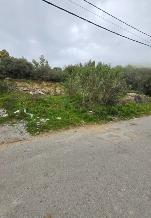 Vente Terrain Annaba Annaba