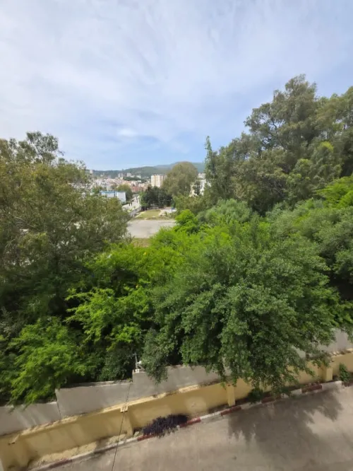 Location Appartement F4 Annaba Annaba