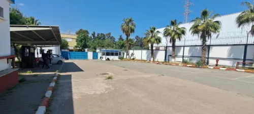 Location Hangar Alger Reghaia