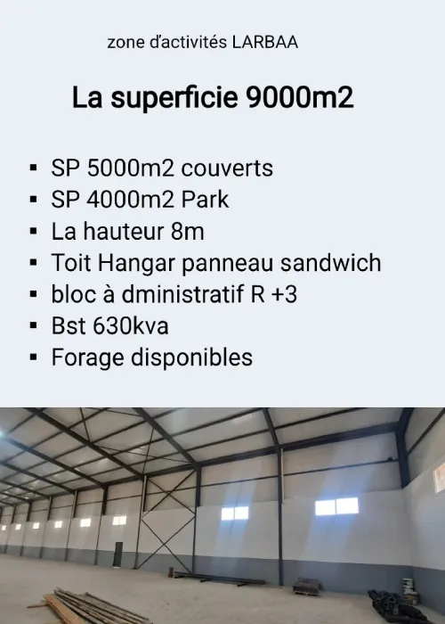 Location Hangar - Usine Blida Larbaa