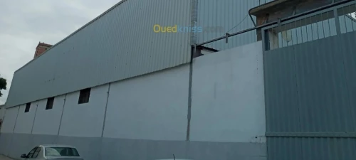 Location Hangar - Usine Boumerdès Ouled hedadj