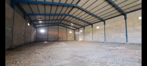 Location Hangar Alger Les eucalyptus