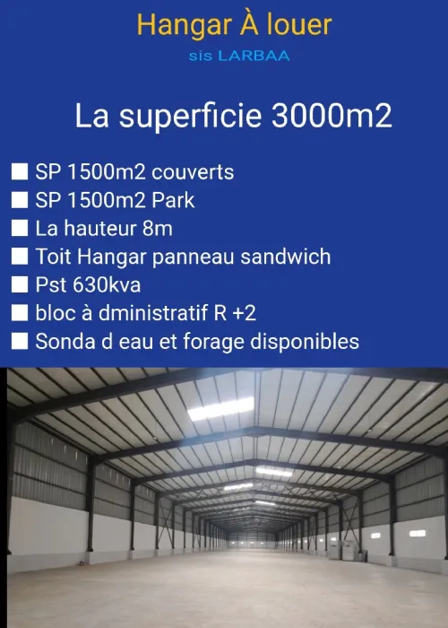 Location Hangar - Usine Blida Larbaa