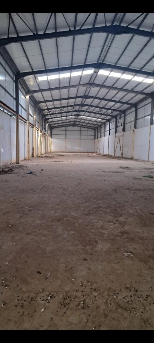 Location Hangar Alger Les eucalyptus