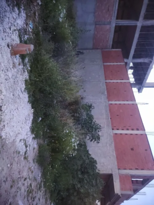 Vente Terrain Blida Meftah