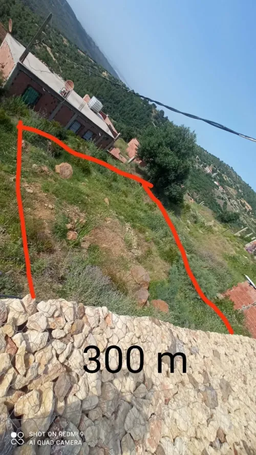 Vente Terrain Blida Djebara
