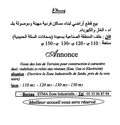 Vente Terrain Saïda Saida