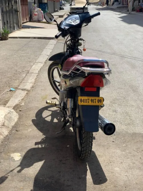 Moto Loujia 110 2017