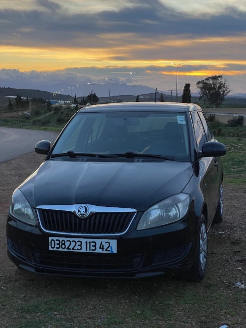 Skoda Fabia 2013 