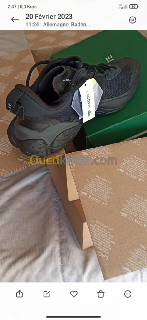 Lacoste original 