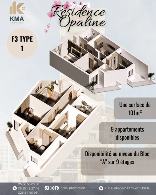 Vente Appartement F3 Blida Ouled yaich